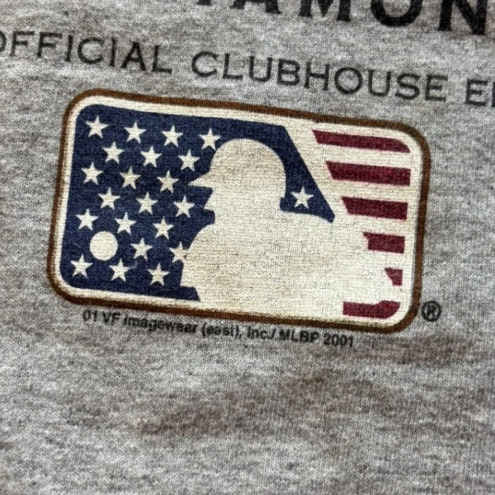 Vintage 2001 Lee Sports Arizona Diamondback's MLB World Series Champions Size M